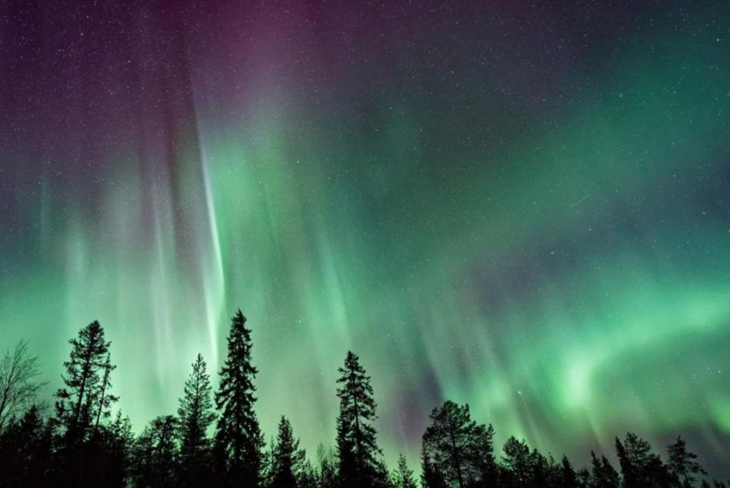 Apartment Naavis Rovaniemi Dış mekan fotoğraf